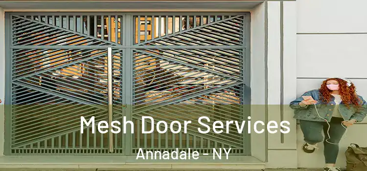  Mesh Door Services Annadale - NY