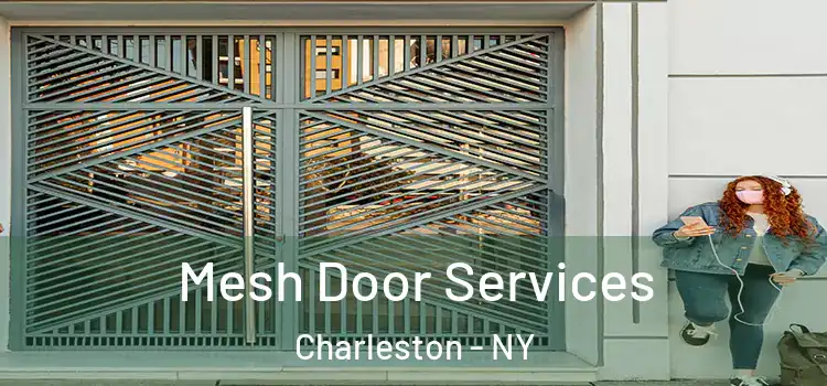 Mesh Door Services Charleston - NY