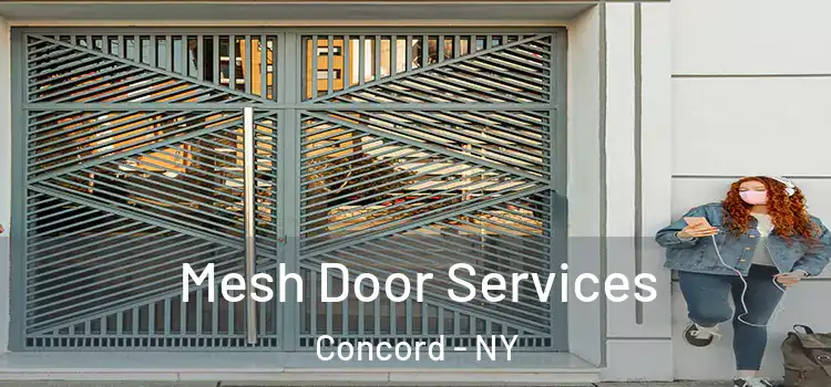  Mesh Door Services Concord - NY