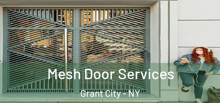  Mesh Door Services Grant City - NY