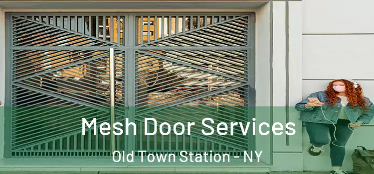  Mesh Door Services Old Town Station - NY