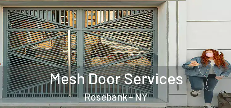  Mesh Door Services Rosebank - NY