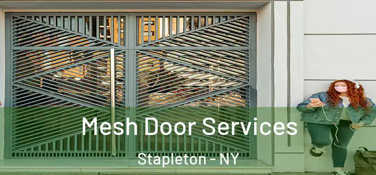  Mesh Door Services Stapleton - NY