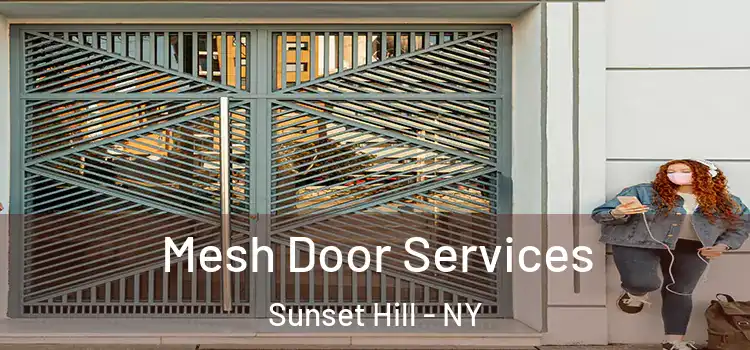  Mesh Door Services Sunset Hill - NY