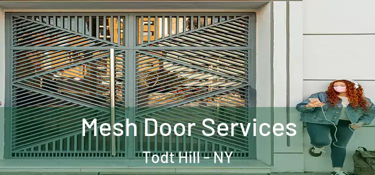  Mesh Door Services Todt Hill - NY