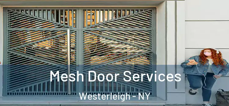  Mesh Door Services Westerleigh - NY