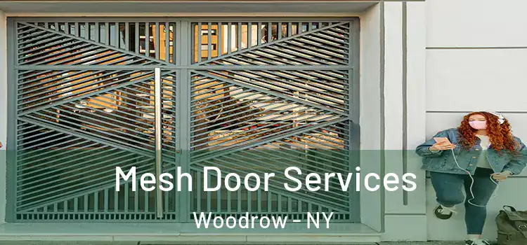 Mesh Door Services Woodrow - NY