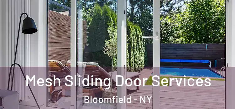 Mesh Sliding Door Services Bloomfield - NY
