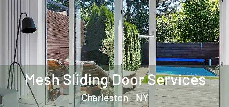 Mesh Sliding Door Services Charleston - NY