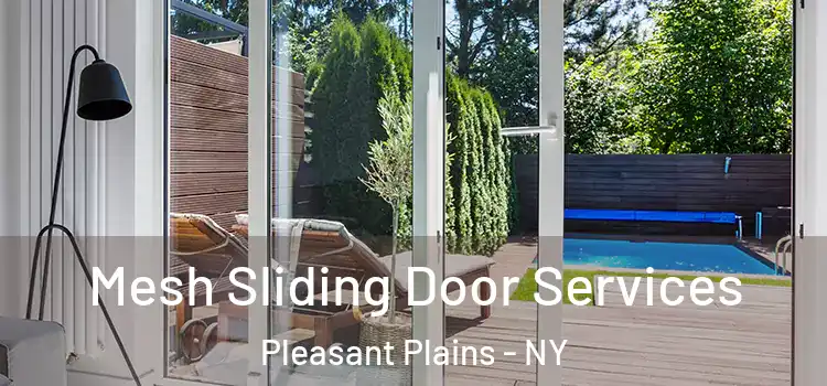  Mesh Sliding Door Services Pleasant Plains - NY