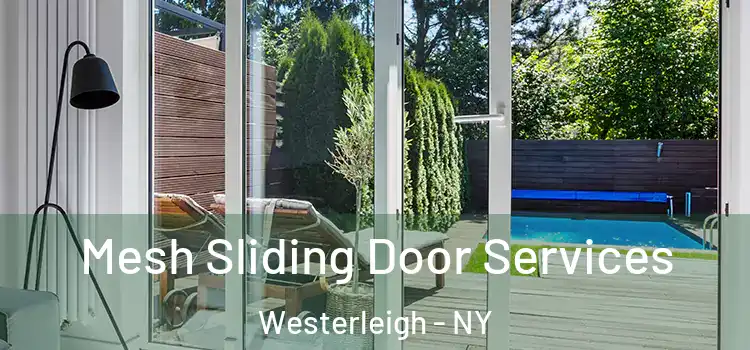  Mesh Sliding Door Services Westerleigh - NY