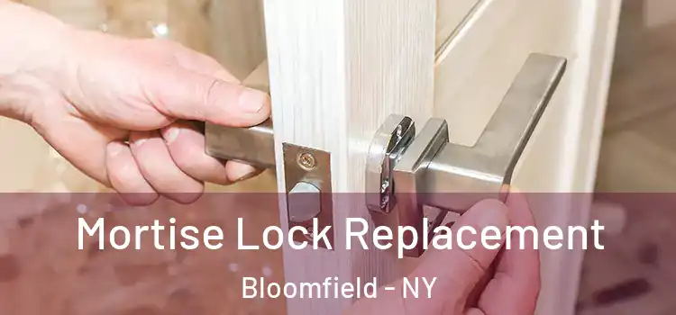  Mortise Lock Replacement Bloomfield - NY