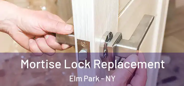  Mortise Lock Replacement Elm Park - NY