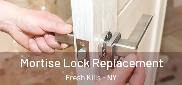  Mortise Lock Replacement Fresh Kills - NY