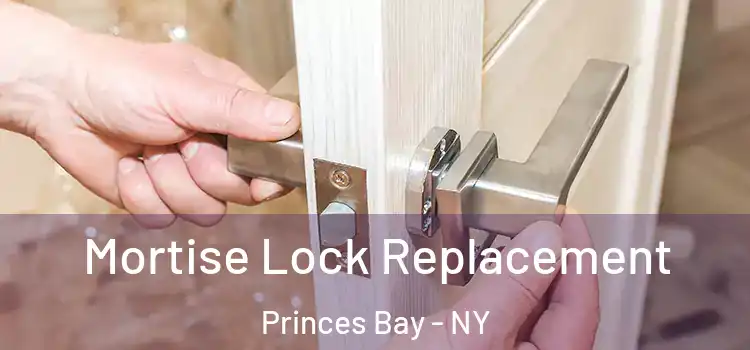  Mortise Lock Replacement Princes Bay - NY