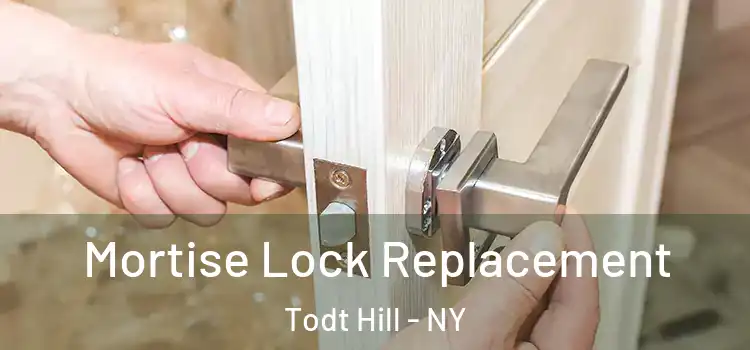  Mortise Lock Replacement Todt Hill - NY