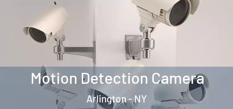  Motion Detection Camera Arlington - NY