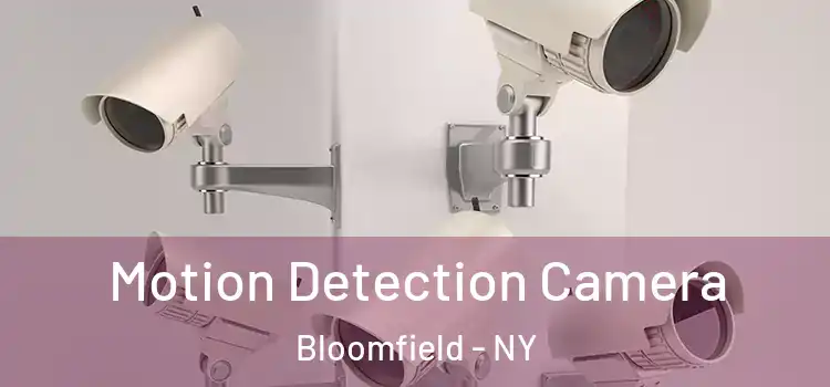  Motion Detection Camera Bloomfield - NY