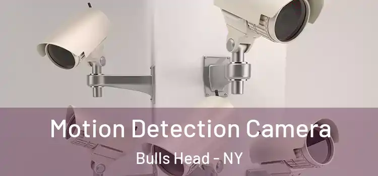  Motion Detection Camera Bulls Head - NY
