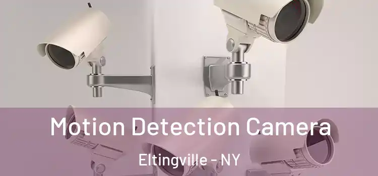 Motion Detection Camera Eltingville - NY