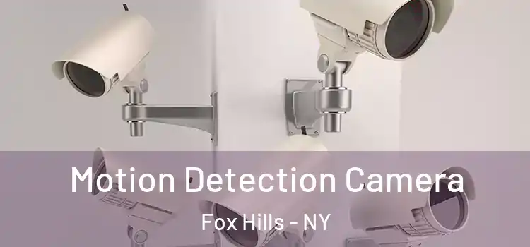  Motion Detection Camera Fox Hills - NY