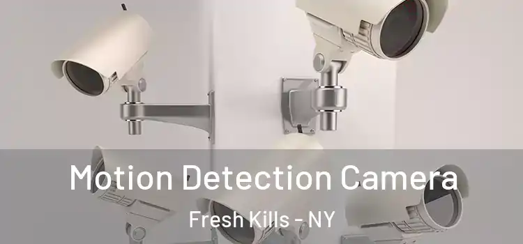  Motion Detection Camera Fresh Kills - NY
