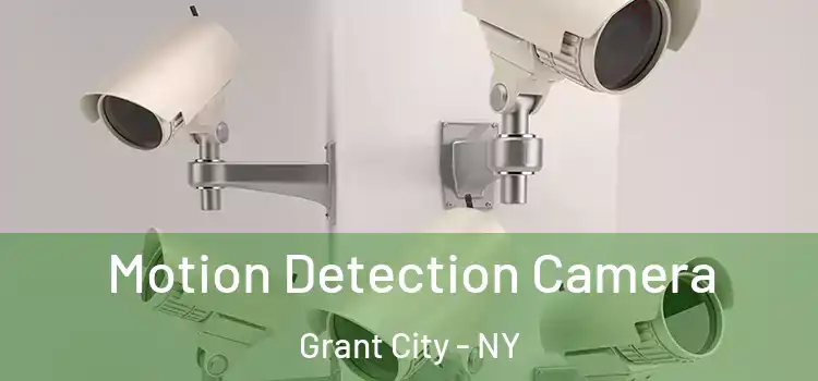  Motion Detection Camera Grant City - NY