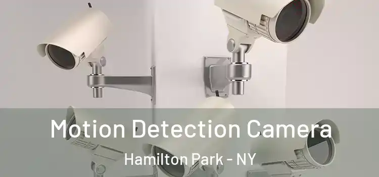  Motion Detection Camera Hamilton Park - NY
