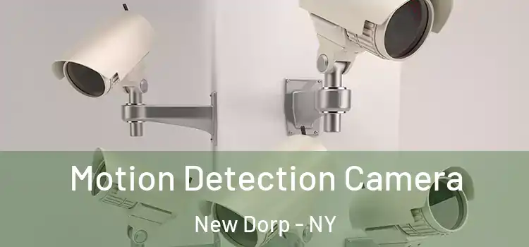  Motion Detection Camera New Dorp - NY