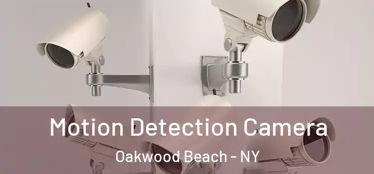  Motion Detection Camera Oakwood Beach - NY