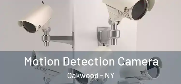  Motion Detection Camera Oakwood - NY