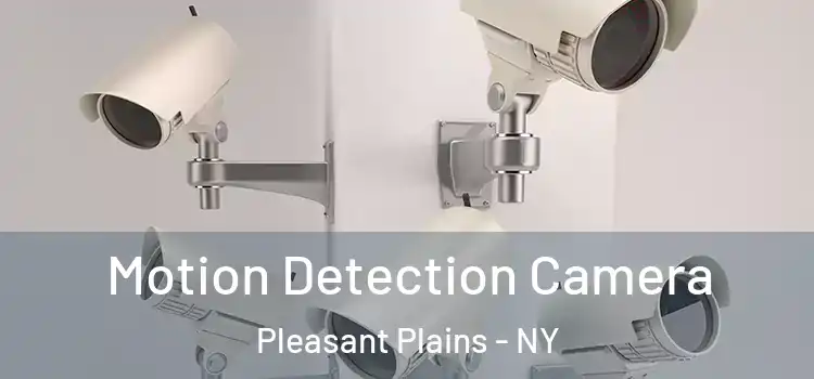  Motion Detection Camera Pleasant Plains - NY