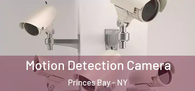  Motion Detection Camera Princes Bay - NY