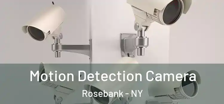  Motion Detection Camera Rosebank - NY