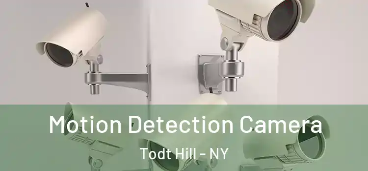  Motion Detection Camera Todt Hill - NY