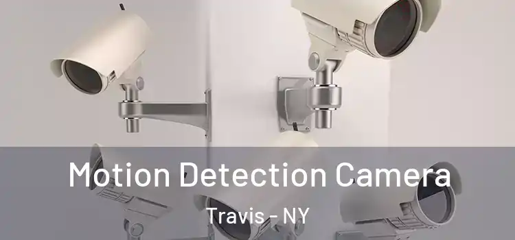  Motion Detection Camera Travis - NY