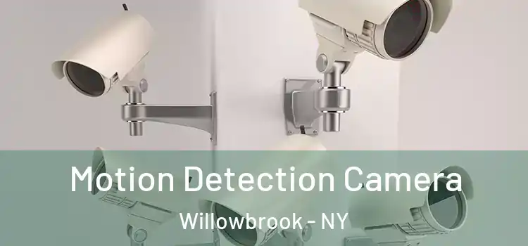  Motion Detection Camera Willowbrook - NY