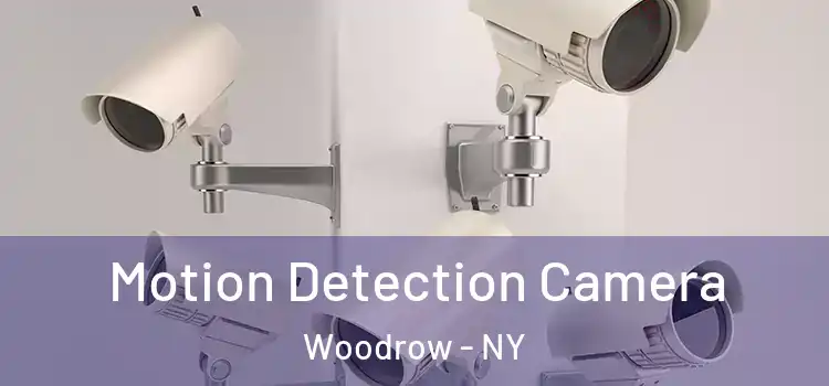  Motion Detection Camera Woodrow - NY