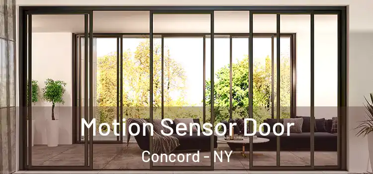  Motion Sensor Door Concord - NY
