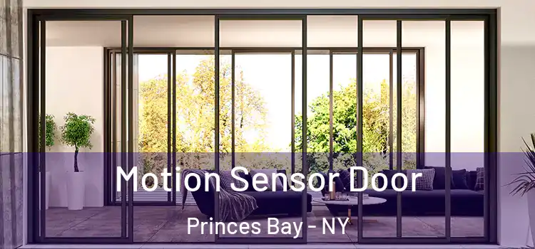 Motion Sensor Door Princes Bay - NY