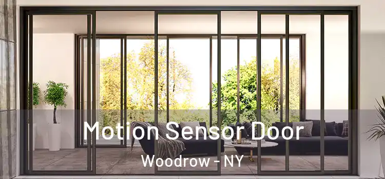 Motion Sensor Door Woodrow - NY
