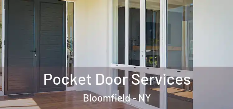  Pocket Door Services Bloomfield - NY