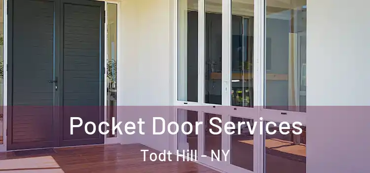  Pocket Door Services Todt Hill - NY