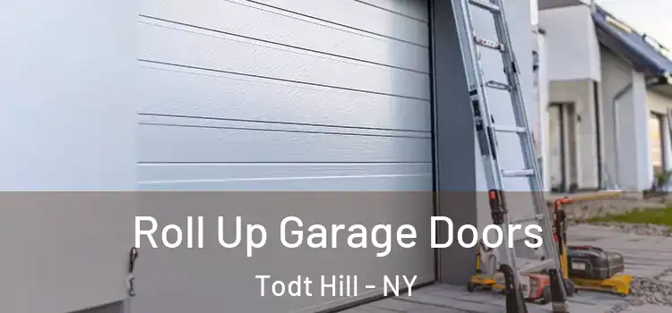  Roll Up Garage Doors Todt Hill - NY