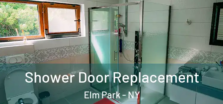  Shower Door Replacement Elm Park - NY