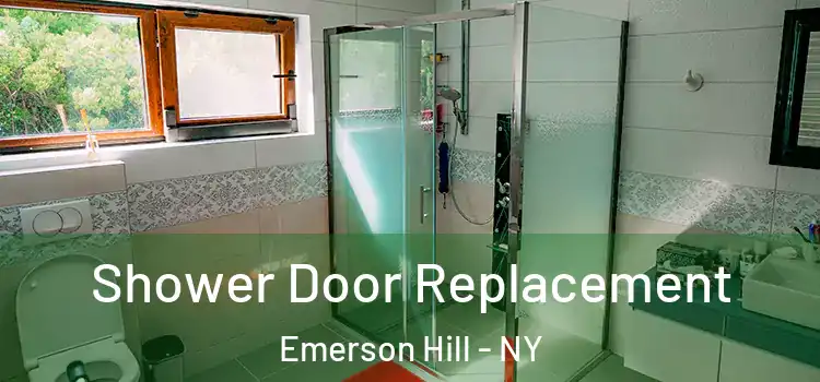 Shower Door Replacement Emerson Hill - NY