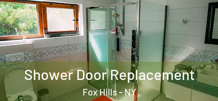  Shower Door Replacement Fox Hills - NY