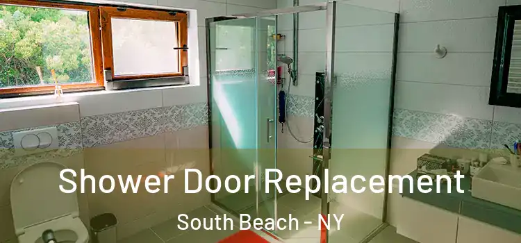  Shower Door Replacement South Beach - NY