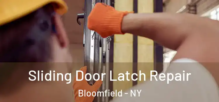  Sliding Door Latch Repair Bloomfield - NY