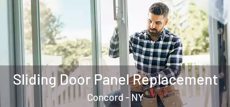  Sliding Door Panel Replacement Concord - NY